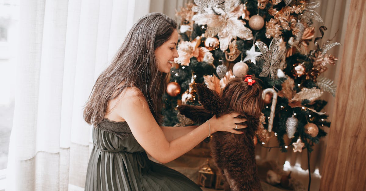 AI Scheduling for Pet Groomers: Cut No‑Shows and Boost Bookings hero image