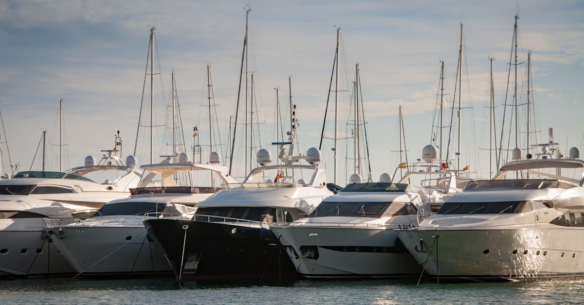 IA de reservas para marinas: llenar más amarras, reducir la capacidad inactiva hero image