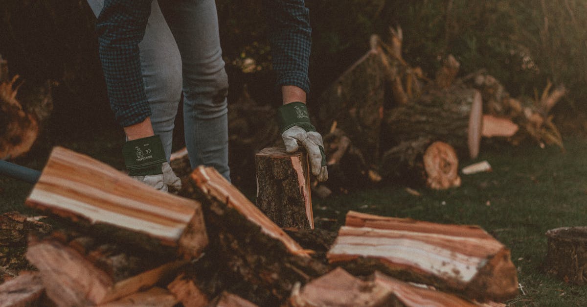 Optimización de rutas de paisajismo con IA: reduce combustible y costes de mano de obra hero image